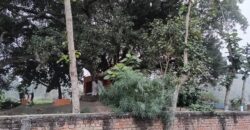 Shaayar Maa Dumraon saayar सायर माँ डुमराँव