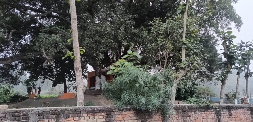 Shaayar Maa Dumraon saayar सायर माँ डुमराँव
