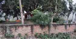 Shaayar Maa Dumraon saayar सायर माँ डुमराँव