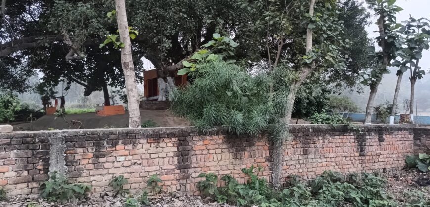Shaayar Maa Dumraon saayar सायर माँ डुमराँव