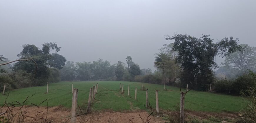 Shaayar Maa Dumraon saayar सायर माँ डुमराँव